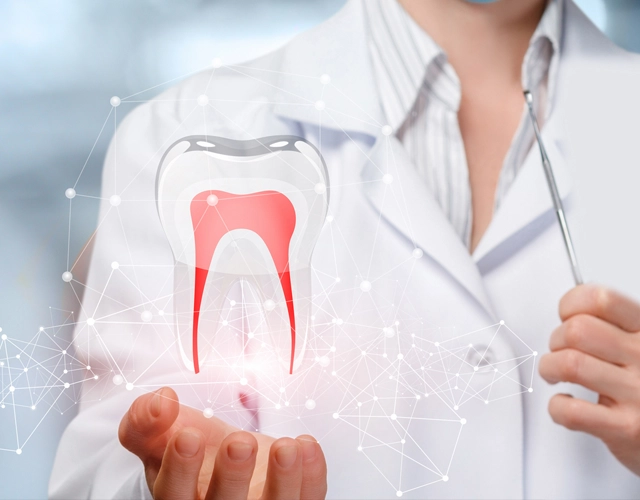 Dentist in white coat holding holographic tooth diagram showing internal root canal structure
